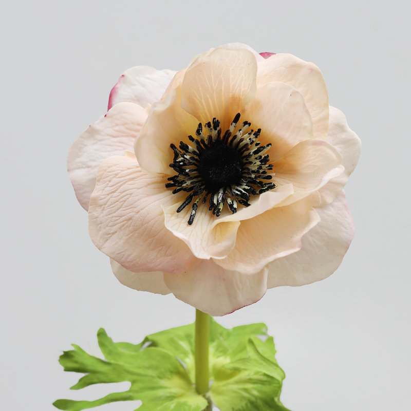 Real Touch Anemone Faux Floral, Peach