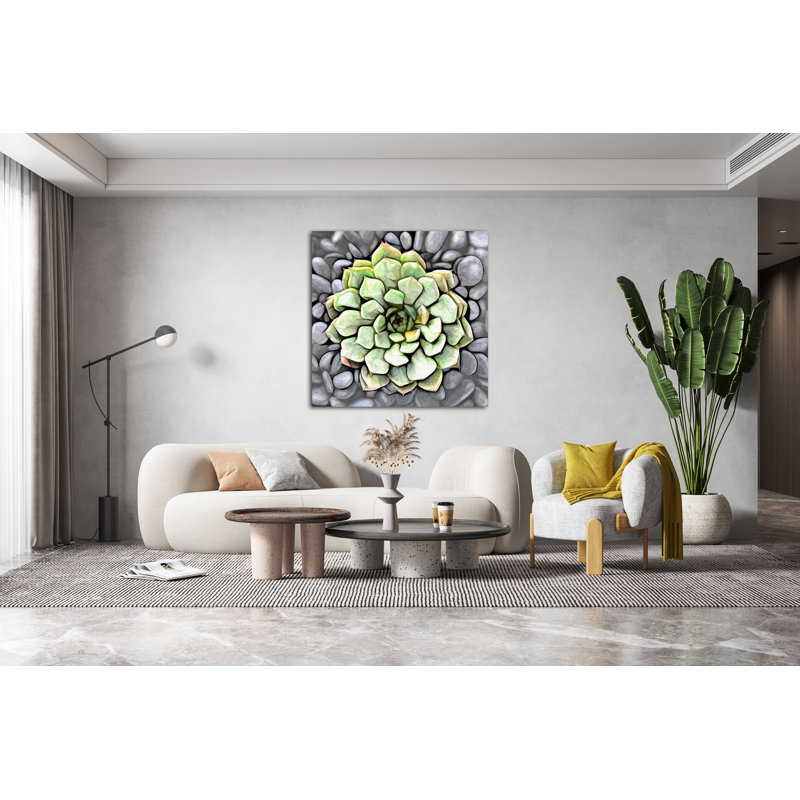 Cactus en pot 177 - reproduction sur toile tendue, H 8 po x l 8 po x P 1,5 po