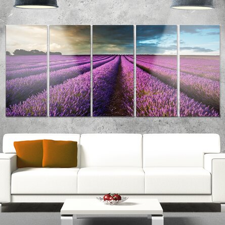 'Lavender Field and Dramatic Sky' 5 Piece Photographic Print on Metal Set