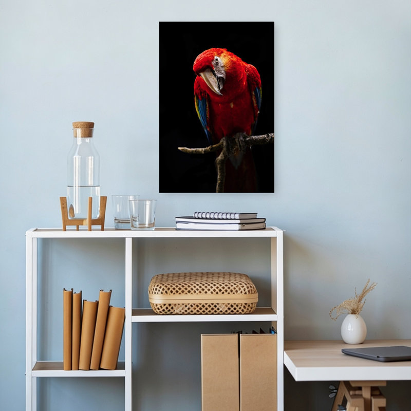 Curious Scarlet Macaw Colorful Vibrant Bird Nature Portrait Wall Art Print by Andi Halil - Print, 45.72cm H x 30.48cm W