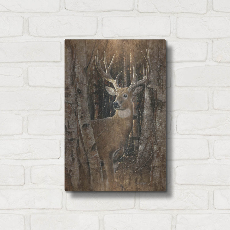 «Birchwood Buck» par Collin Bogle, H 16 po x l 12 po