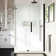Endless Pasadena 60" W x 32.01" D x 72.01" H Frameless Rectangle Shower Kit with Base Included