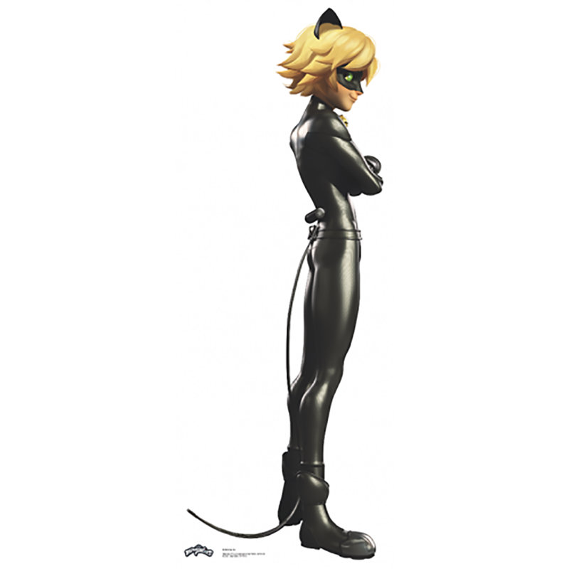 Miraculous Cat Noir Ladybug
