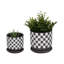 Ensemble de pots à fleurs en céramique avec plateau de drainage Jamesjoseph-646675980