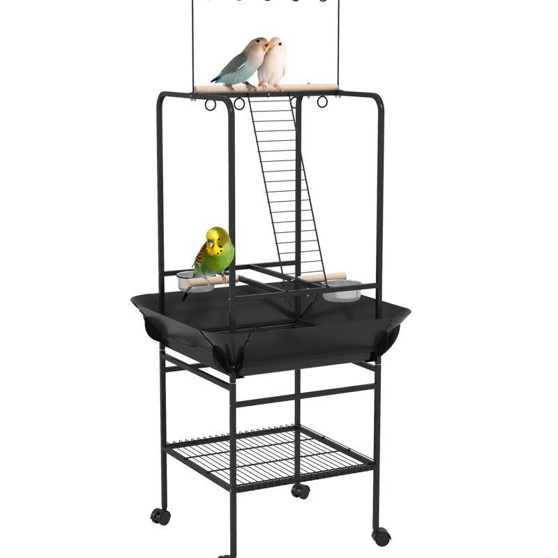 Socle à oiseaux gris foncé avec roulettes - support, bols en acier inoxydable, plateau coulissant, stable pour les perroquets, petites roues de perroquet, perchoirs de loisirs, support
