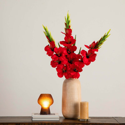 Gladiolus Floral Stems