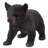 Bear Cub Walking Statue