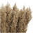 Pampas Grass Arrangement-1896627674-1879939194