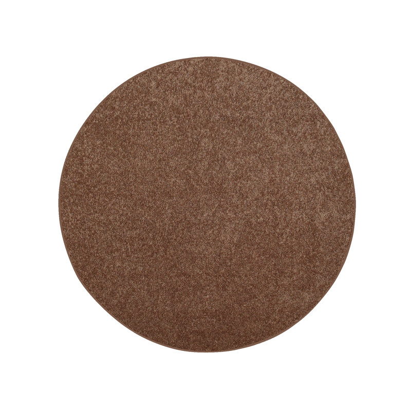 Tapis modernes de couleur unie pour animaux de compagnie et enfants, résistance aux taches et à la décoloration, chambre à coucher, salle de jeux et chambre d'enfant, événement, mariage, parfait pour le salon, la salle à 