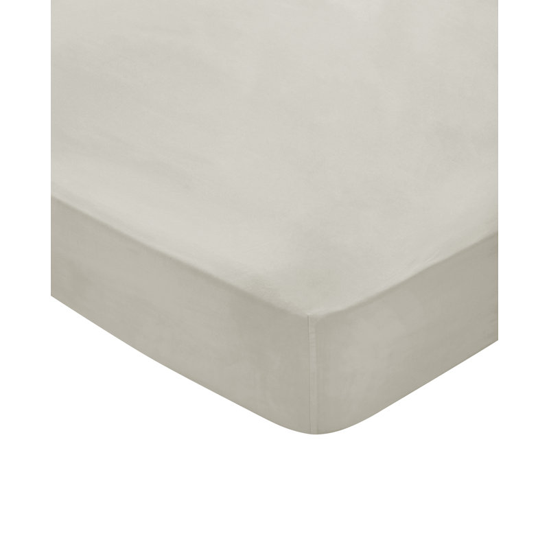 BOB 300TC EQYPTIAN COTTON 100% Cotton Fitted Sheet, Single (3'), Beige