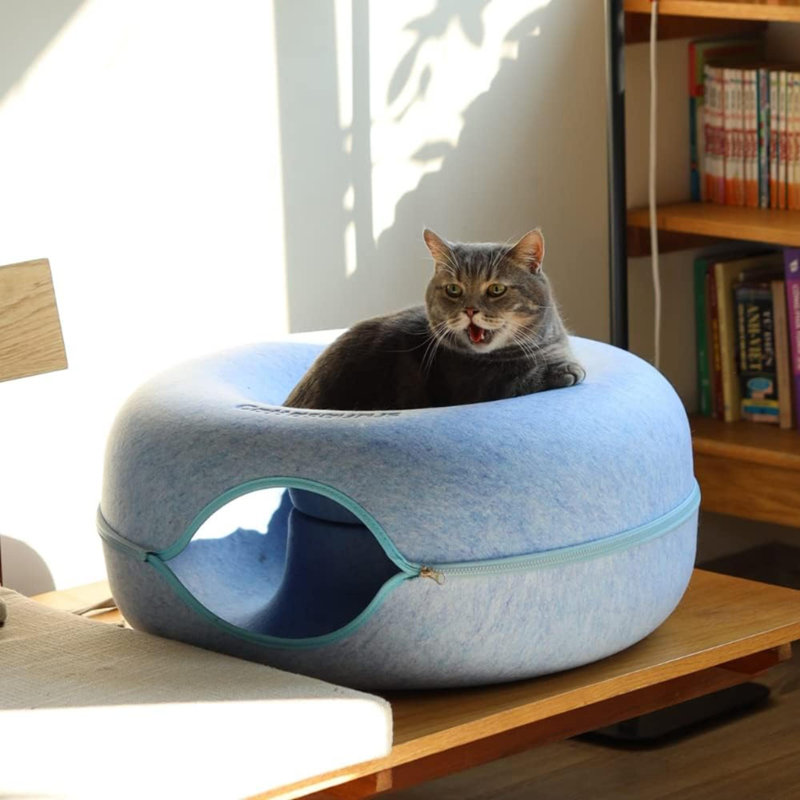Lit pour chat Peekaboo, Bleu, Grande taille: L 24 po x l 11 po