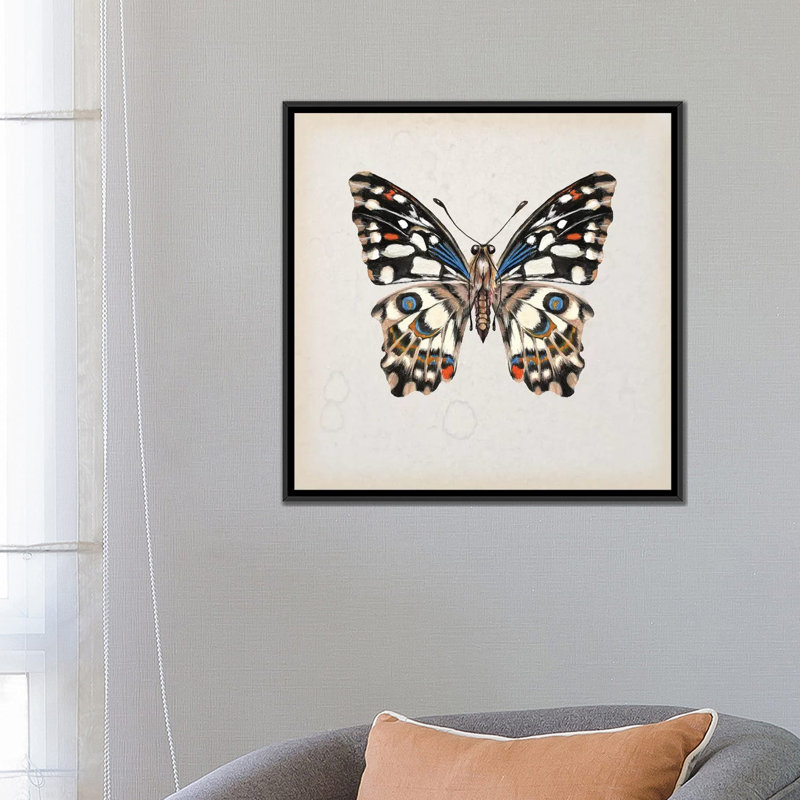 « papillon study ii », impression sur toile, H 18 po x l 18 po x P 1,5 po, Toile avec cadre noir, Pas de tapis