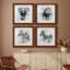 Proud Elephant - ensemble de 4 photos sur toile tendues-2050339036-2050339039