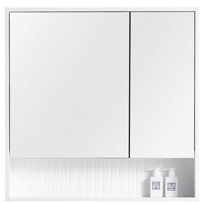 Asahel Surface Double Medicine Cabinet