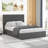 Latonja Upholstered Bed with Lift Up Storage-460529096-460529098