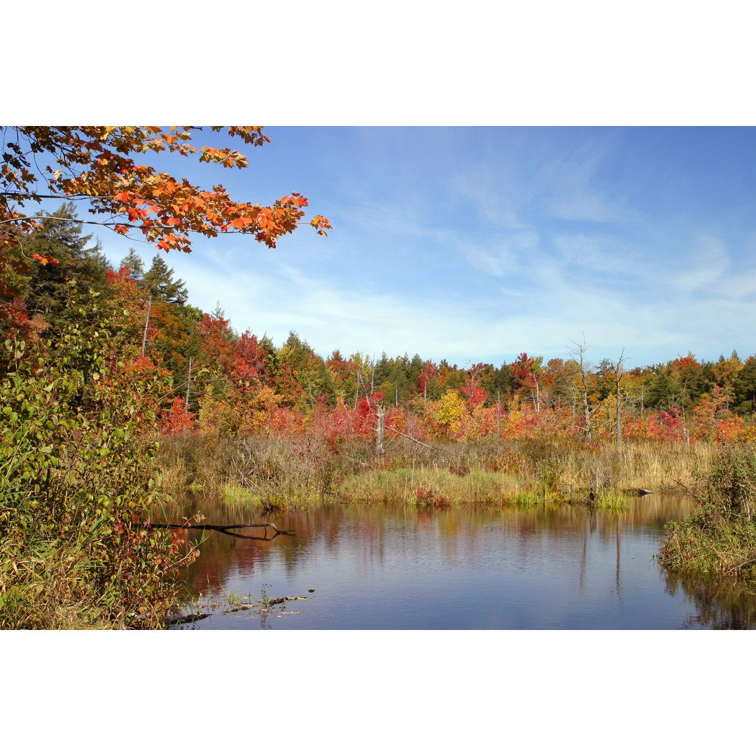 Herbstteich von WoodyUpstate - Kunstdrucke auf Leinwand ohne Rahmen