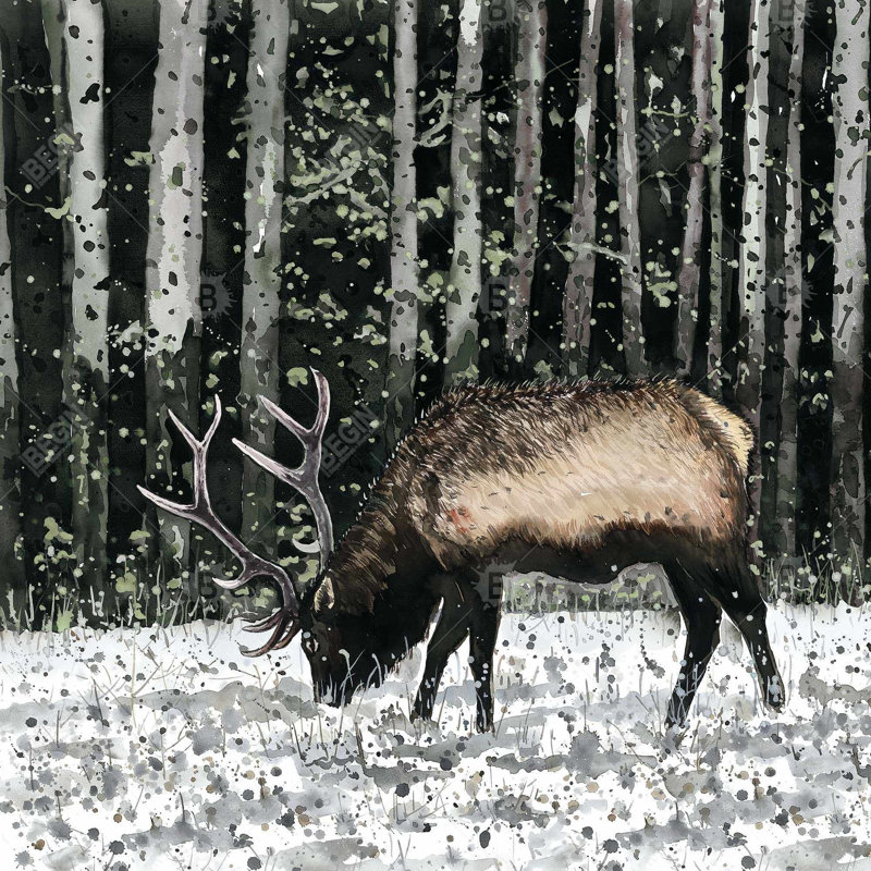 "Caribou dans la forêt" sur toile