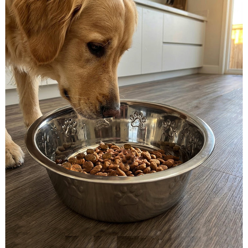 32 Oz Embossed Pet Bowl, 32 Oz