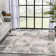 Chimeng Abstract Indoor Rug