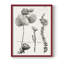 Protea II Framed Print - Solid Wood-267711390-267711330