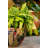Talavera 13"H Detailed Talavera Octogonal Ceramic Chata Planter-51307857