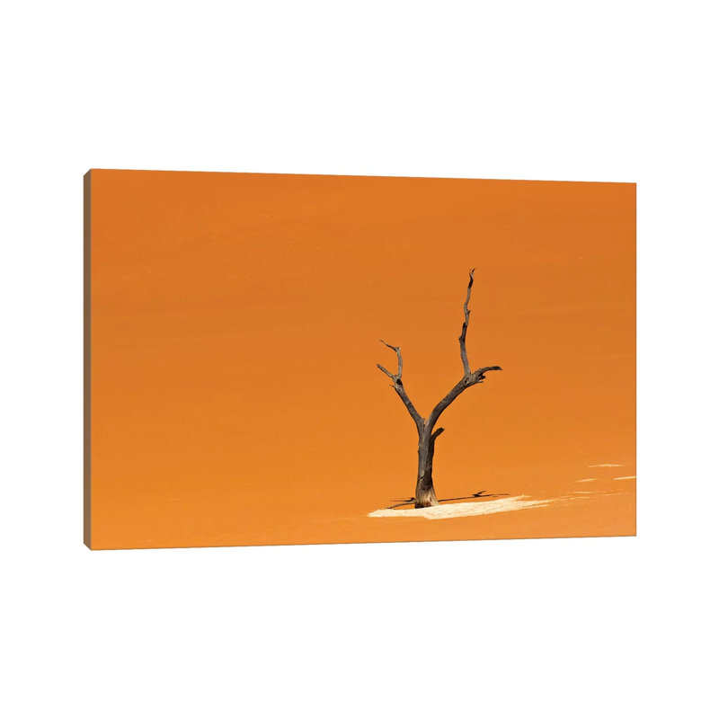 Dead Acacia Trees In Deadvlei, Sossusvlei, Namib-Naukluft National Park, Southern Narim Desert by Keren Su - Wrapped Canvas Print