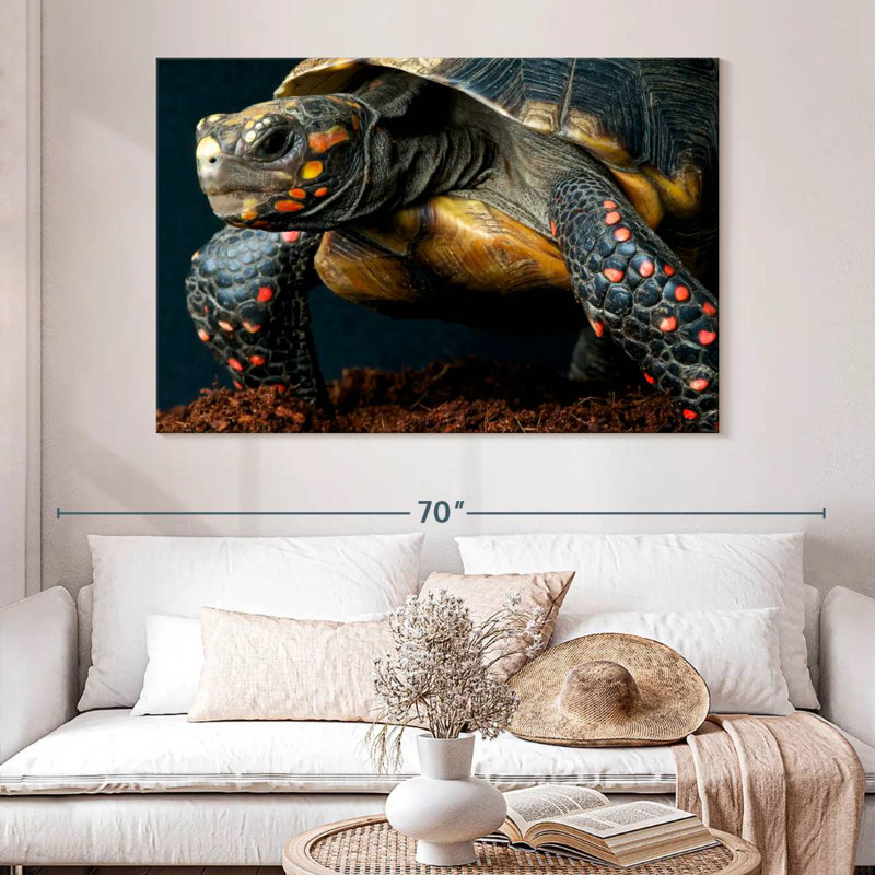 Brampt Amazon Red Footed Tortoise, 34" H x 51" W