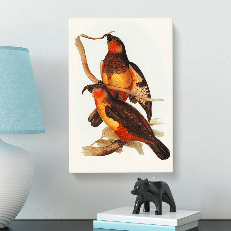 Philip Island Parrots by Elizabeth Gould - Wrapped Canvas, 76cm H x 50cm W x 3cm D
