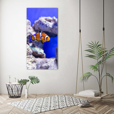 Nemo Fish - Wrapped Canvas Print