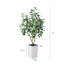 Ficus artificiel George, verdure artificielle protégée contre les rayons UV avec une énorme base décorative pour l'intérieur et l'extérieur-2074737958-2074737956