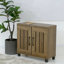 Banos 2 Door Shoe Storage Cabinet-205301356