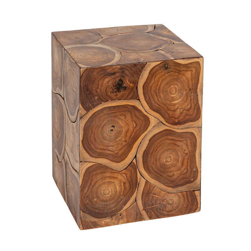 Mesa Square Teak Root Slice End Table