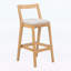 Chaises d'appoint d'intérieur, ensemble de 2-423066229