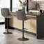 Moneika Height Adjustable Swivel Bar Stool & Counter Stool-1040595336-1051732616