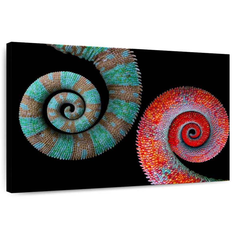 Brampt Colorful Chameleon Tails, 20" H x 30" W