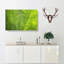 Veins Of A Leaf - Wrapped Canvas-55301051