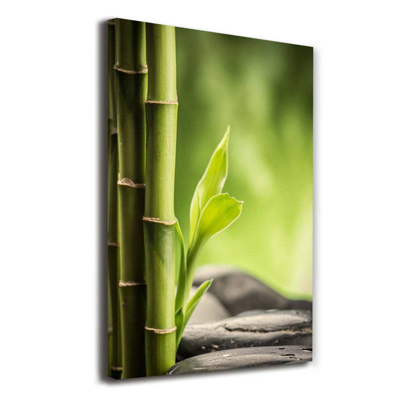 Bamboo - Wrapped Canvas Print