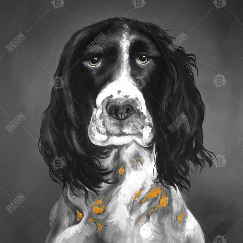 «Beautiful English Springer Spaniel»