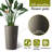 2 Pack Tall 21.7 In Planters For Outdoor Plants Modern Tall Square Planter Box Indoor Outdoor Porch Patio Flower Pot Modern Big Tapered Matte Tree Flower Pot For Garden, (Brown)-694533277