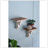 Distressed Brown And Wooden Wall Shelf With Corbel Design