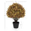 Arbre en pot 24 po-51795835