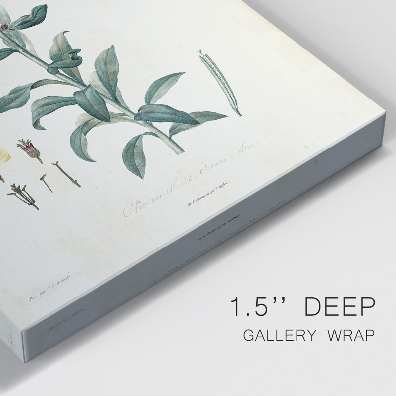 «Traditional Botanical III», impression sur toile tendue, H 60 po x l 40 po x P 1 po