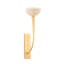 Maywood Wall Sconce