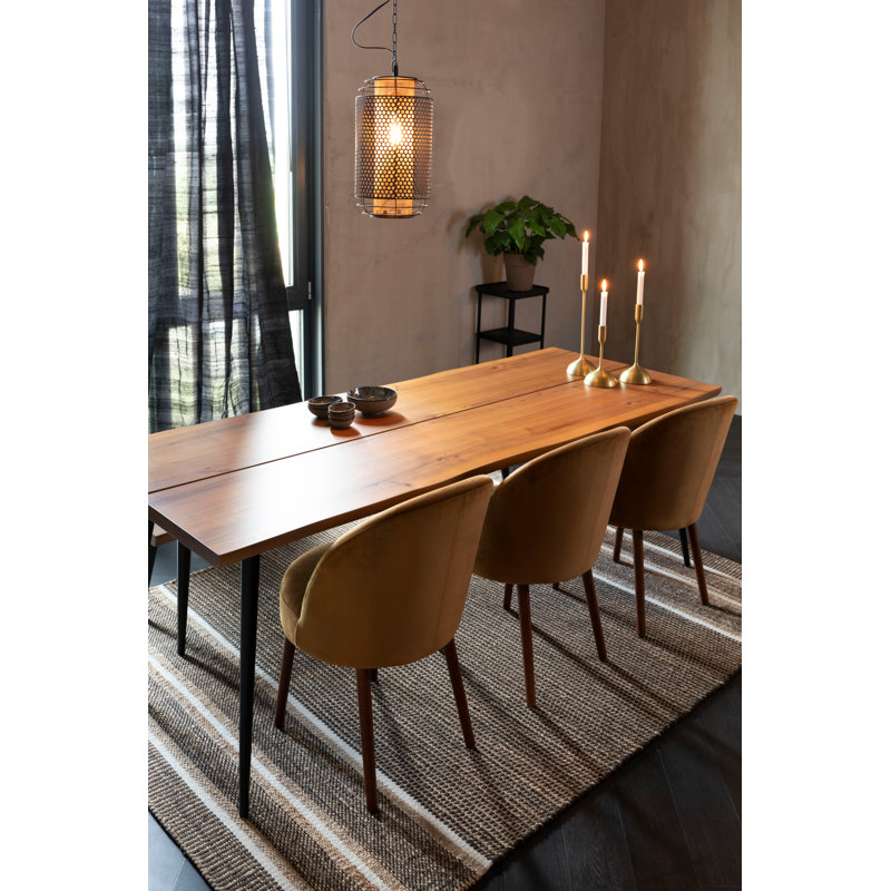 Djahe Striped Area Rug in Brown/White