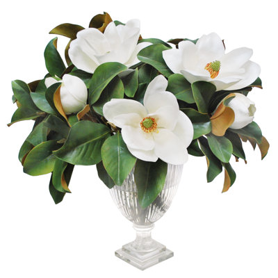 Arrangements floraux de magnolia dans un vase