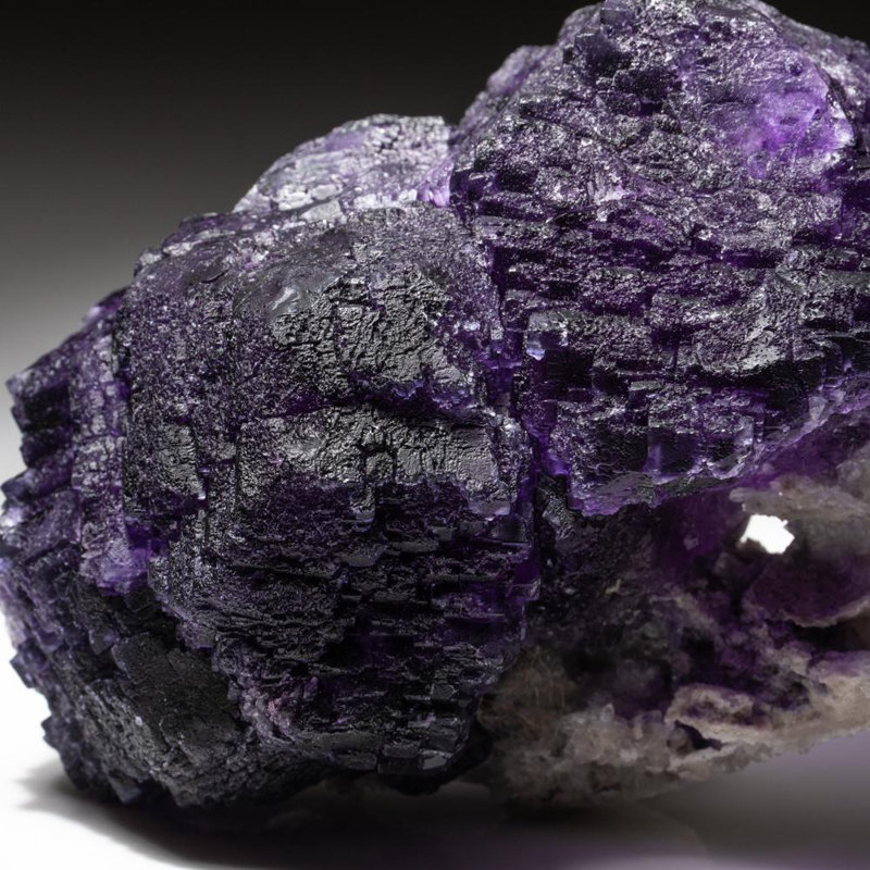 Véritable grappe de fluorescence mauve