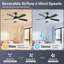 Ventilateur de plafond standard à 5 pales avec télécommande et lumière DEL Damecia-1295427719-1314893223