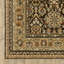 Tapis oriental en nylon / polypropylène tissé à la machine Ansara-1439848808