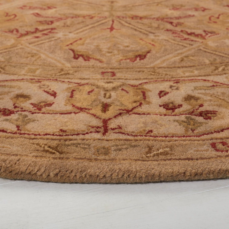 Evie Hand Tufted Wool Oriental Rug