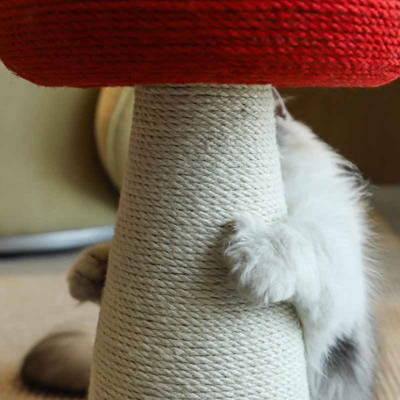 Grattoir pour chat en forme de champignon 19,7 po Faline, poteau à griffer pour l'intérieur en sisal